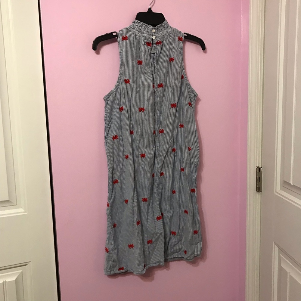 crown & ivy Blue and White Striped Mini Dress with Red Floral Embroidery - Picture 3 of 8